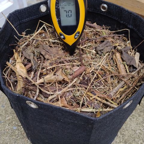 Substantiva 1 growlog timeline photo
