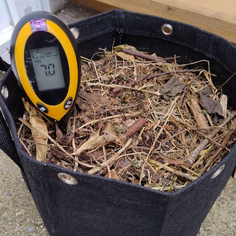 Substantiva 1 growlog timeline photo