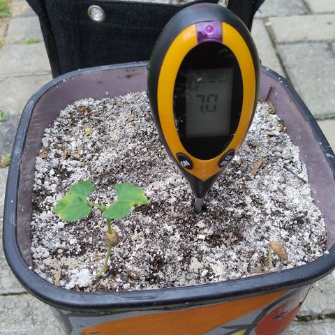 Substantiva 1 growlog timeline photo