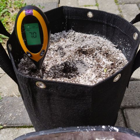 Substantiva 1 growlog timeline photo