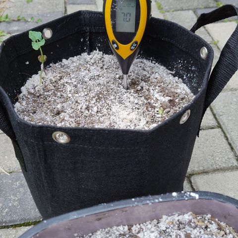 Substantiva 1 growlog timeline photo