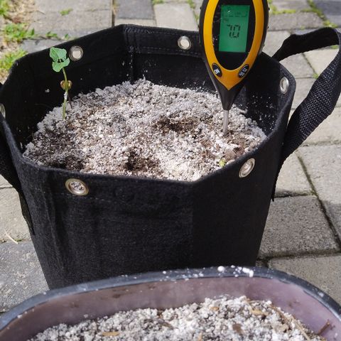 Substantiva 1 growlog timeline photo