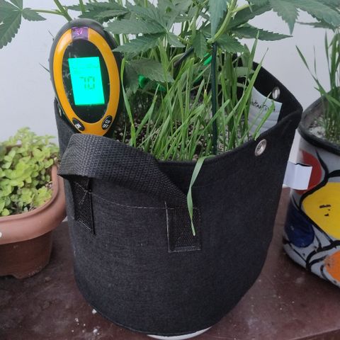 Substantiva 1 growlog timeline photo