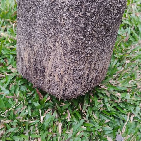 Adjetiva growlog timeline photo