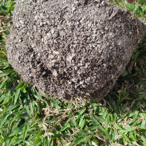 Substantiva 1 growlog timeline photo