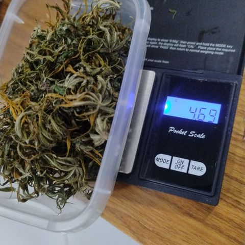 Adjetiva growlog timeline photo