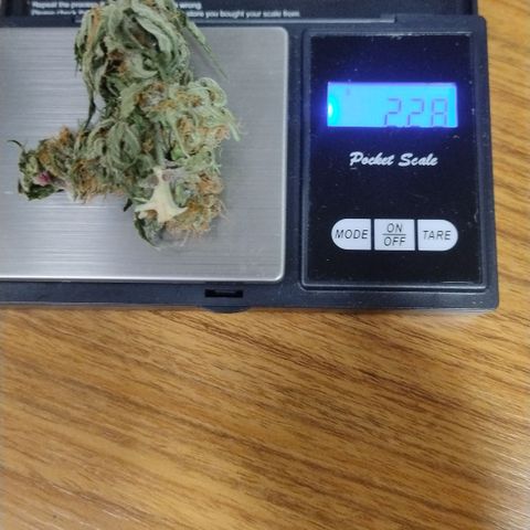 Substantiva 1 growlog photo: Flor q estava secando na geladeira