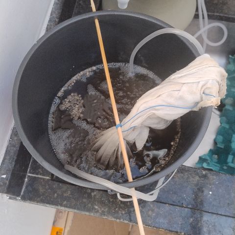White Widow growlog photo: Chá às 17h50 do dia 11