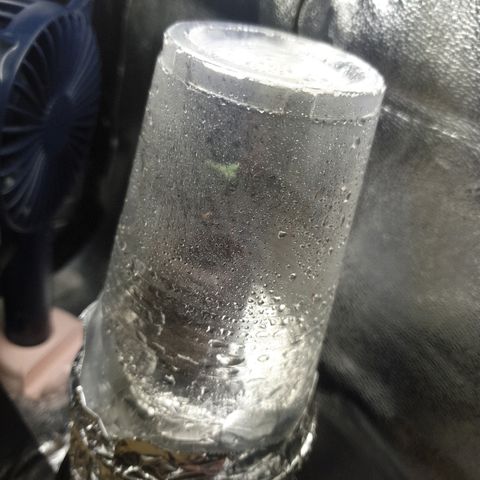 Rhino Ryder growlog timeline photo