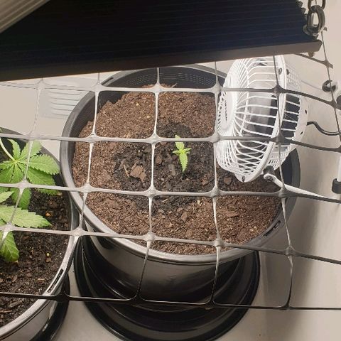 Rhino Ryder growlog timeline photo