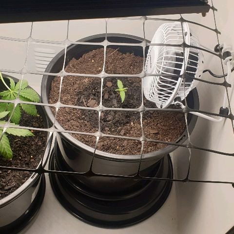 Rhino Ryder growlog timeline photo
