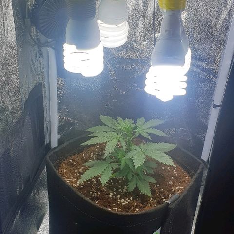 Rhino Ryder growlog timeline photo