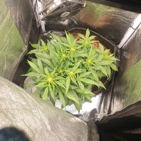 Rhino Ryder growlog timeline photo