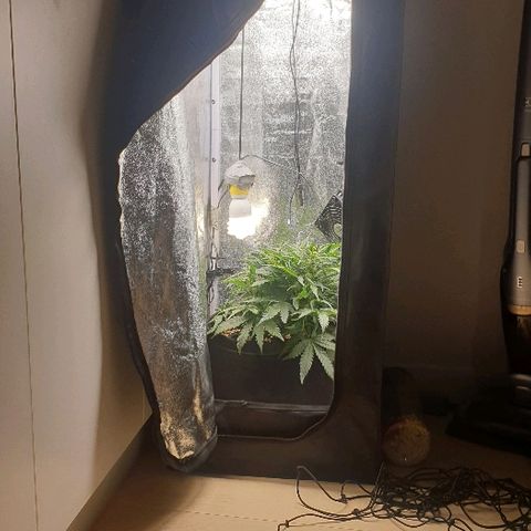 Rhino Ryder growlog timeline photo