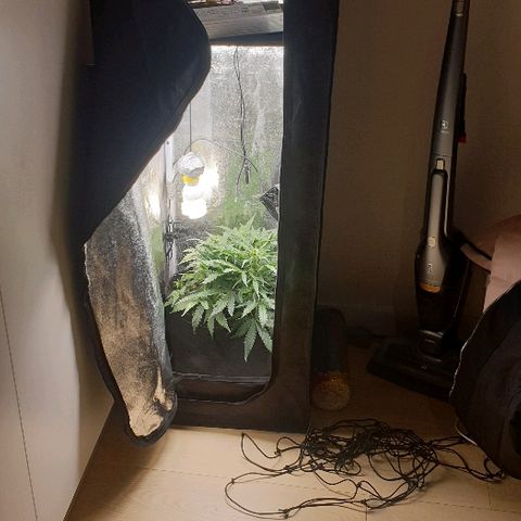 Rhino Ryder growlog timeline photo