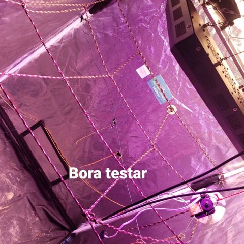 Y Griega growlog timeline photo