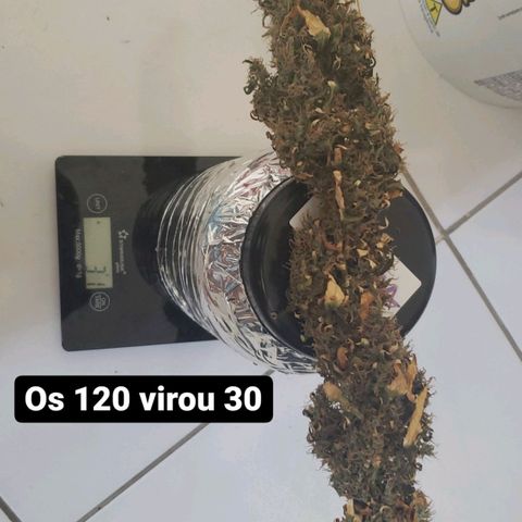 Y Griega growlog timeline photo