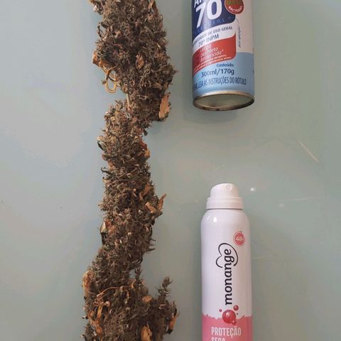 Y Griega growlog timeline photo