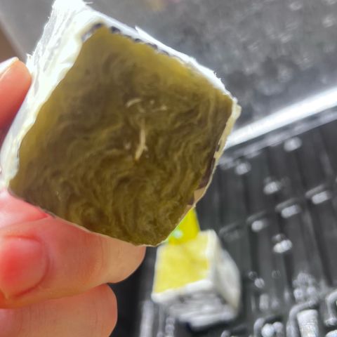 Panther Piss growlog photo:  Still in humidity dome rooting and growing quick