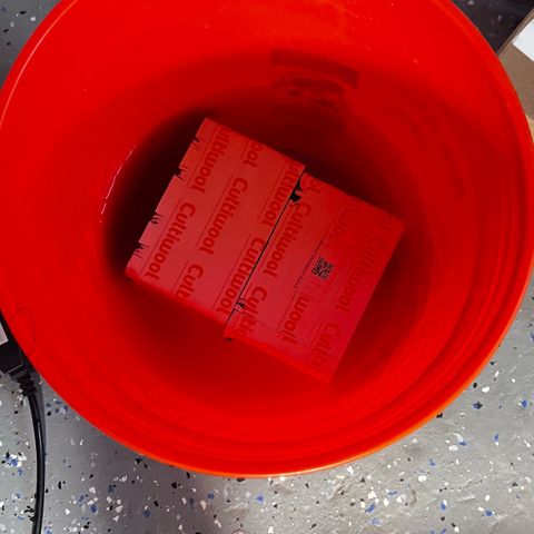 Panther Piss growlog photo: Planting my gro block plugs into a 4x4x4 Rockwool Cube 