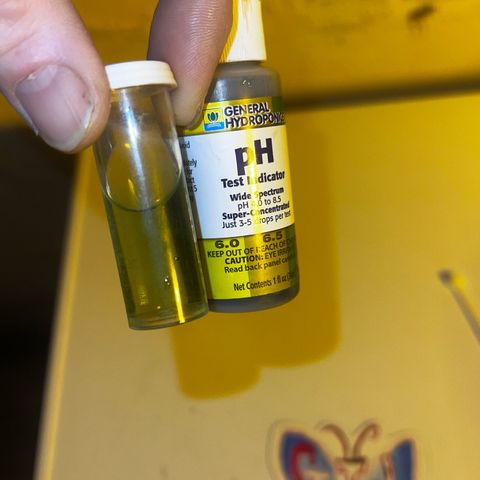 Panther Piss growlog photo:  Water that I’ve been given to plants have been cold. I have to start warming up the nutrients and feed before I give them any type of feeding to the box.
