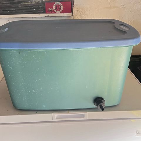 Panther Piss growlog photo:  I turned the tote into a reservoir for runoff. I just gotta get hose to run from that plug to the drain.