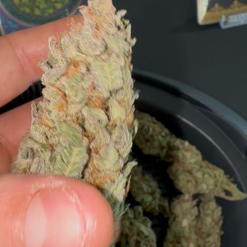 Wedding Cake Auto by Boston ❤️❤️🪴🌱 growlog timeline photo