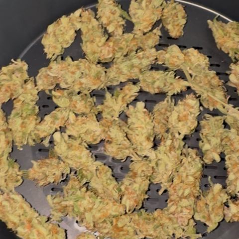 Wedding Cake Auto by Boston ❤️❤️🪴🌱 growlog timeline photo
