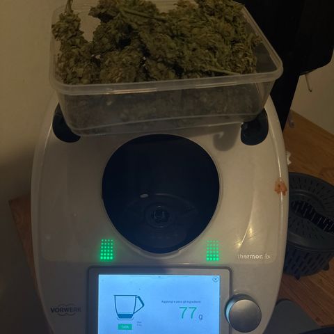 Wedding Cake Auto by Boston ❤️❤️🪴🌱 growlog timeline photo