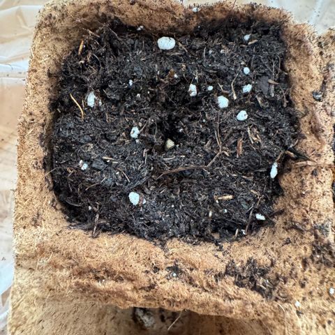 Epsilon f1 Boston growlog timeline photo