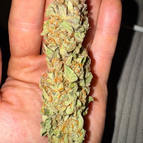 Wedding Cake Auto by Boston ❤️❤️🪴🌱 growlog timeline photo