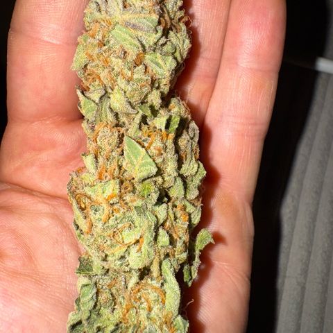 Wedding Cake Auto by Boston ❤️❤️🪴🌱 growlog timeline photo