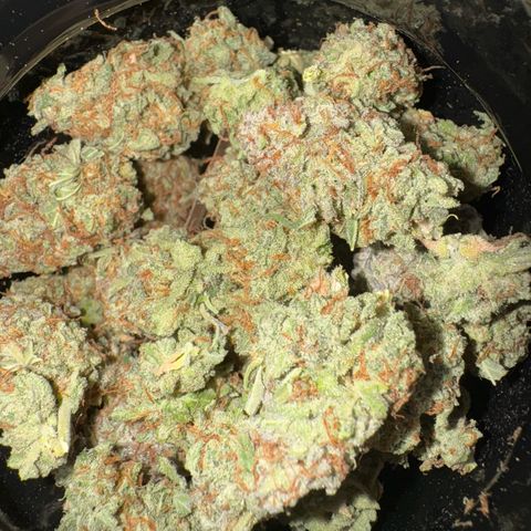 Wedding Cake Auto by Boston ❤️❤️🪴🌱 growlog timeline photo