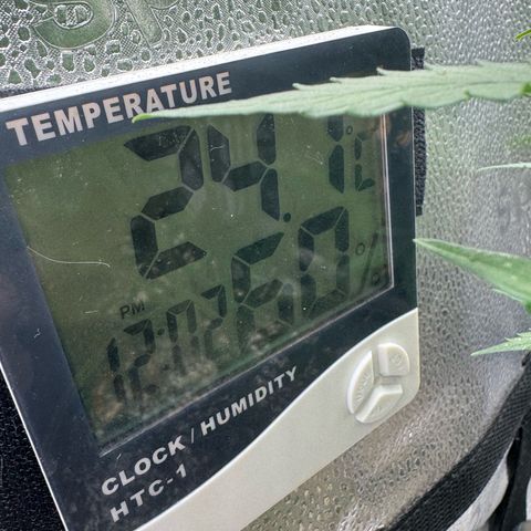 Epsilon f1 Boston growlog timeline photo