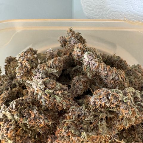 Lemon kerry Banana Purple  growlog timeline photo