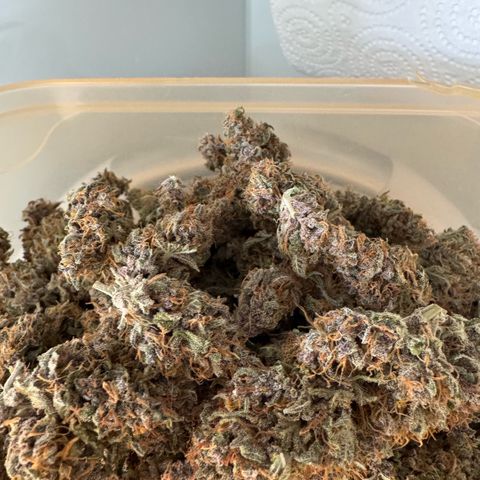 Lemon kerry Banana Purple  growlog timeline photo