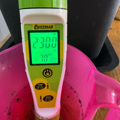 Super Buff Cherry #26  (4) growlog timeline photo