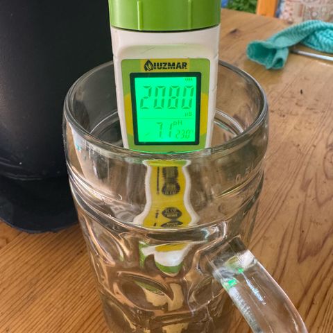 Super Buff Cherry #26  (4) growlog timeline photo