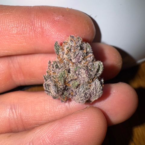 Super Buff Cherry #26  (4) growlog timeline photo