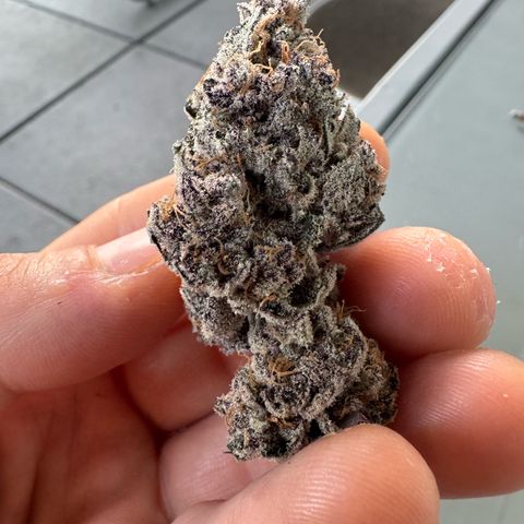 Super Buff Cherry #26  (4) growlog timeline photo