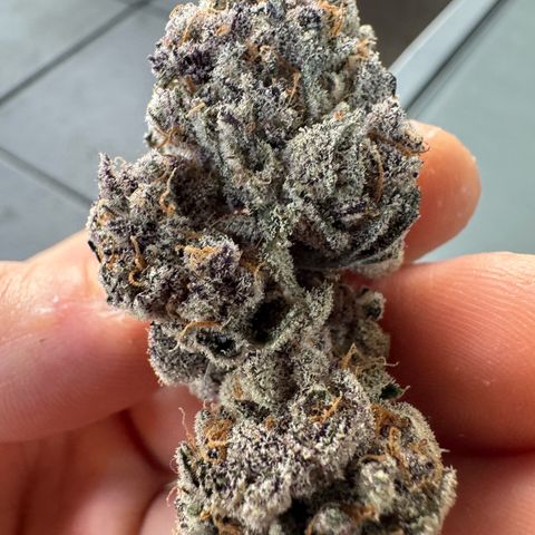 Super Buff Cherry #26  (4) growlog timeline photo