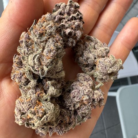 Super Buff Cherry #26  (4) growlog timeline photo