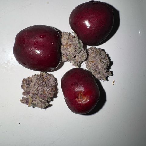 Super Buff Cherry #26  (4) growlog timeline photo