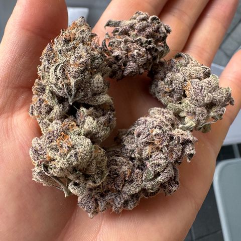 Super Buff Cherry #26  (4) growlog timeline photo