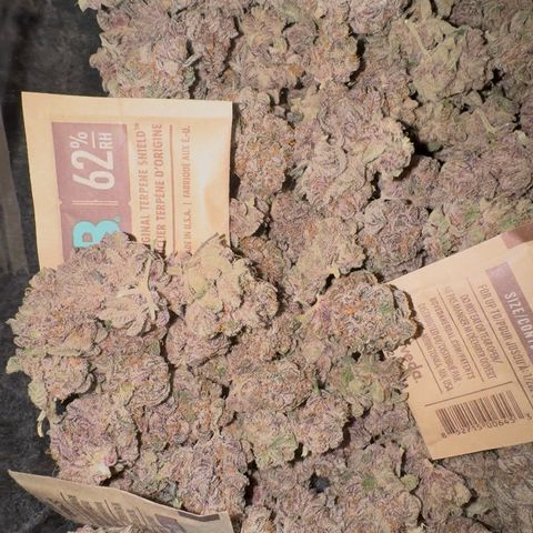 Super Buff Cherry #26  (4) growlog timeline photo