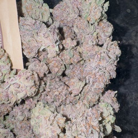 Super Buff Cherry #26  (4) growlog timeline photo