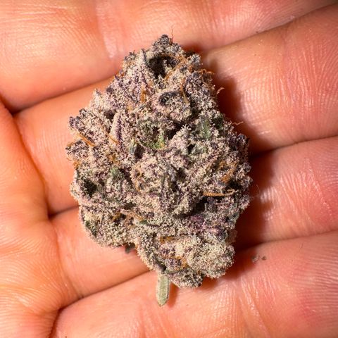 Super Buff Cherry #26  (4) growlog timeline photo