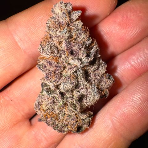 Super Buff Cherry #26  (4) growlog timeline photo
