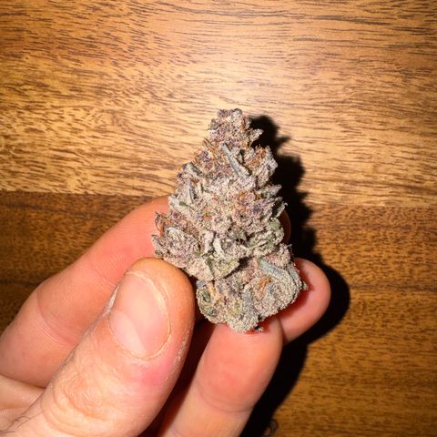 Super Buff Cherry #26  (4) growlog timeline photo