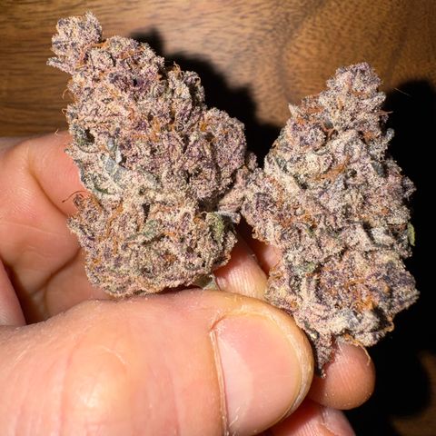 Super Buff Cherry #26  (4) growlog timeline photo